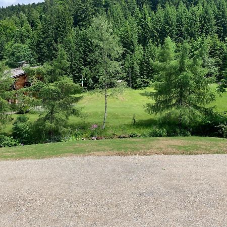 Appartement Chalet Louison Les Gets Esterno foto